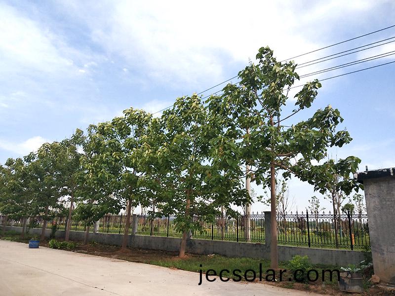 濟寧市大氣環境質量2015年(nian)12月份(fen)13縣市區(qu)排名