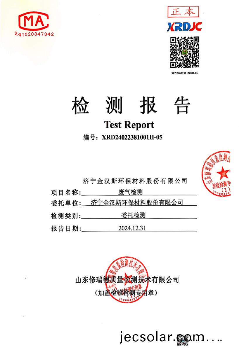 檢測報告（2024.12.31）