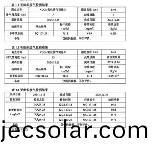 檢測報告(2024.12.31)